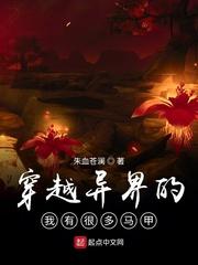 真龙时空封面