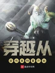大焰师封面