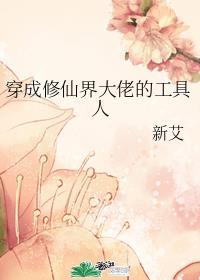 掌门十二岁封面